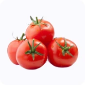 Fresh Vegetables